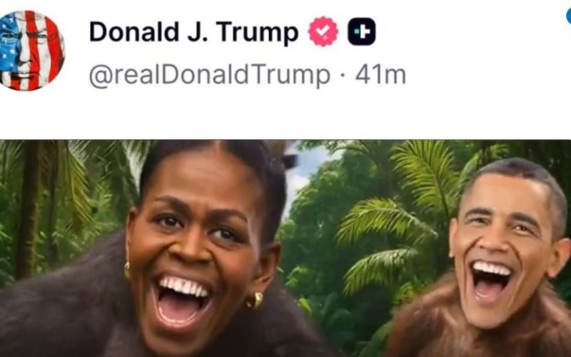 I Didn’t Make a Mistake! : Trump’s Monkey Video Shows His Personal Hate Against African-Americans